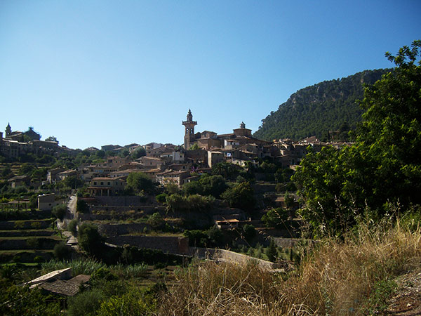 En la zona de Valldemossa todavía se pueden ver restos de las terrazas árabes y la horticultura.