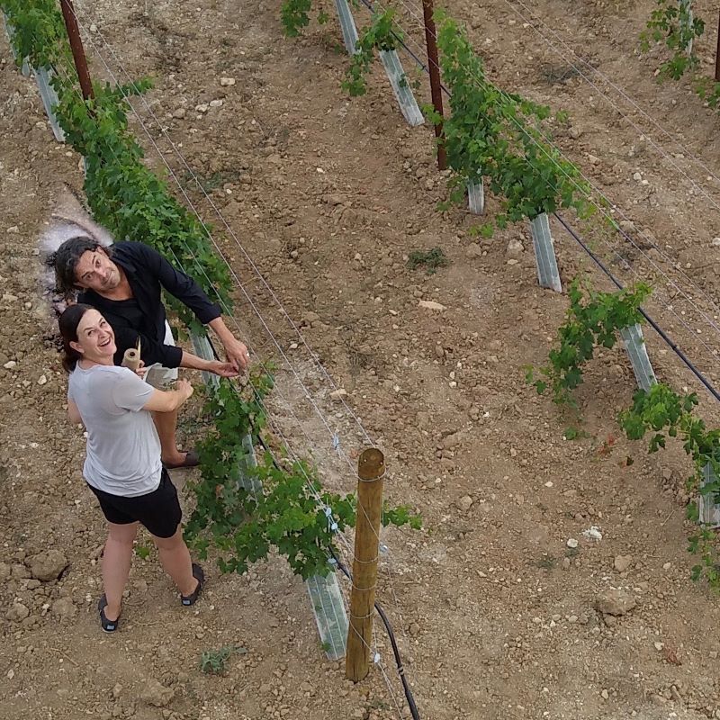 La pareja Grahe financia su sueño de ser un viticultor en Mallorca con ideas innovadoras. Imagen: Alexandra y Sören Grahe