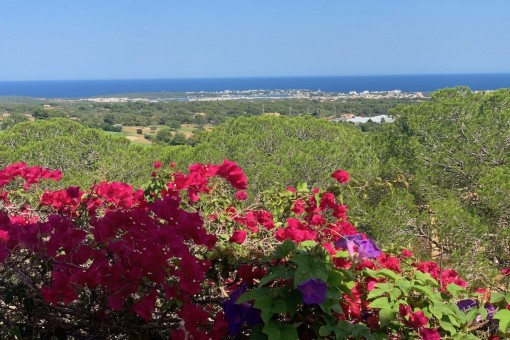 Vistas al mar