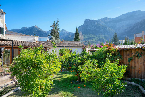 Jardin y vistas a la Tramuntana