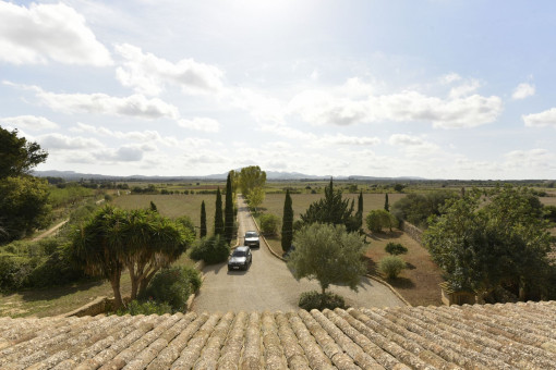 Camino a la finca