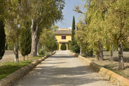 Camino de entrada a la propiedad