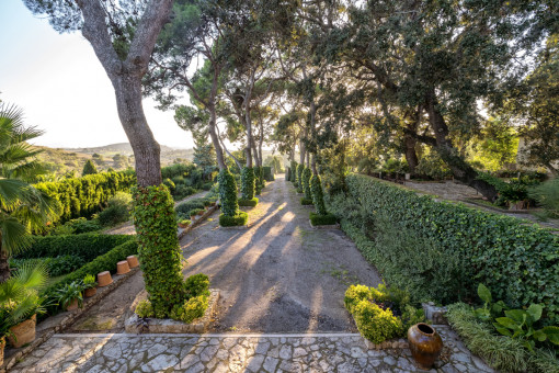 Maravillosa área de jardín