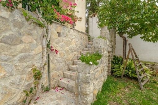 Escalera sube a la finca desde el jardín