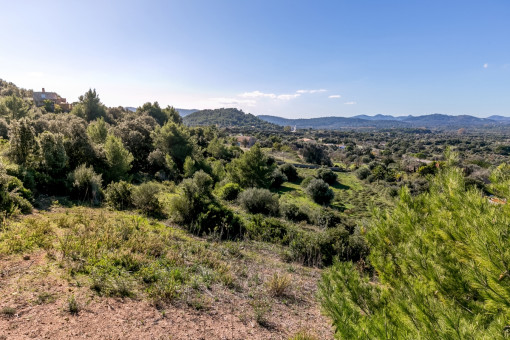 Paisaje maravilloso y montañoso