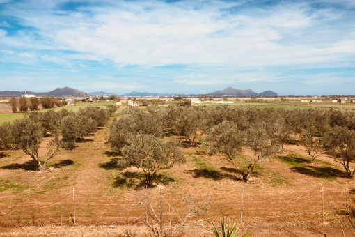 Vistas panorámicas desde la planta superior