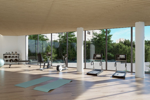 Gimnasio en la planta baja