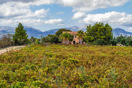 Vista a la finca y la Sierra de Tramuntana