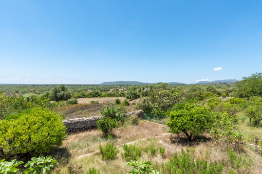 Vista de la finca