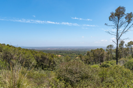 Vista de la finca