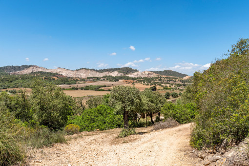 Vista de la finca