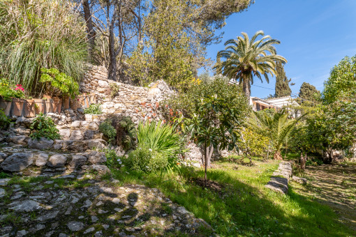 Jardín mediterránea con varias plantas