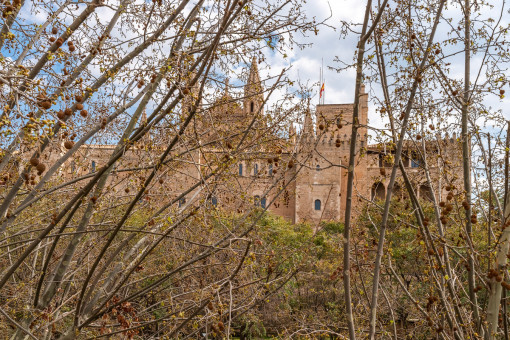 Vista al catedral