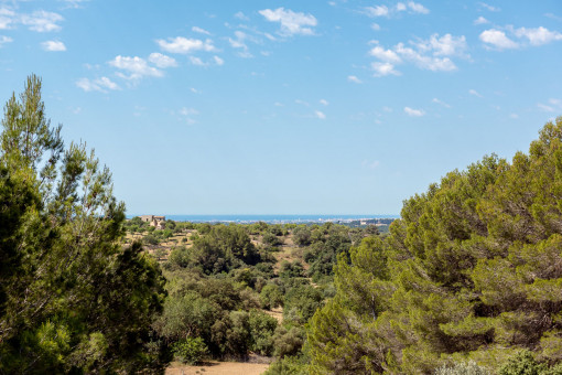 Vistas panorámicas