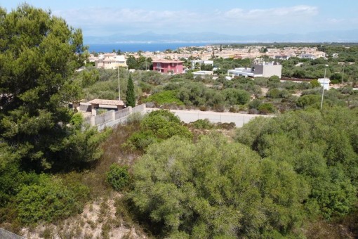 Vista desde el terreno