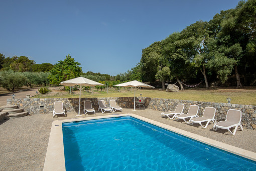 Piscina rodeada del jardín