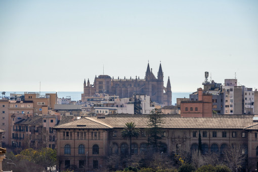 Vista al catedral