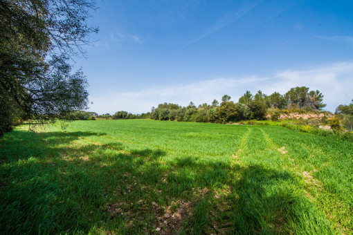 Vista del solar