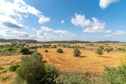 Las vistas desde la casa