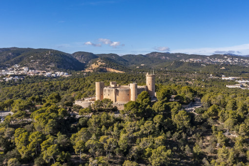 En las cercanias del Castillo Bellver