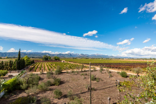 Vistas azotéa