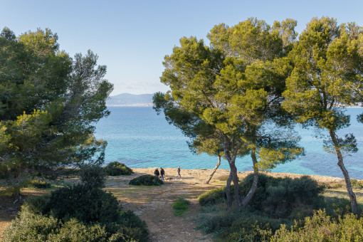 Primera línea del mar