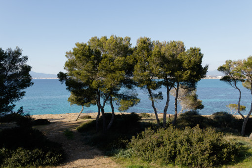 Vistas al mar