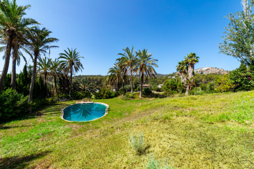 Jardín y piscina