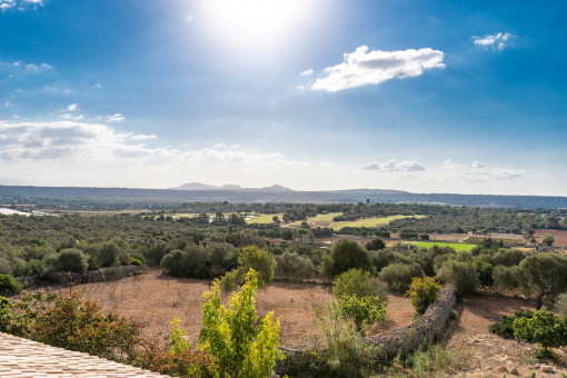 Vistas panorámicas