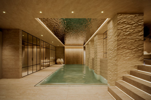 SPA y piscina