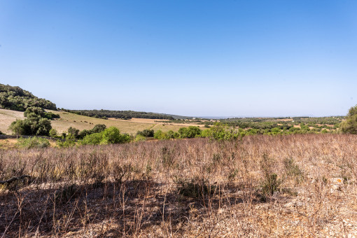 Terreno con vistas lejanas