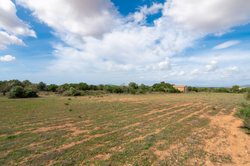 Fantástica parcela con vistas panorámicas en Felanitx