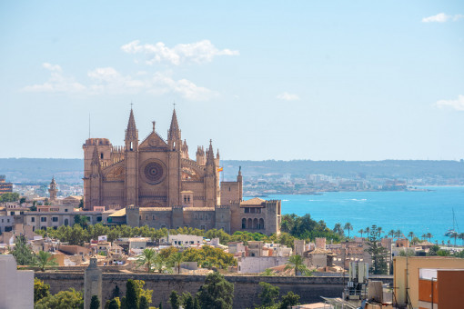 Vistas a la cathedral