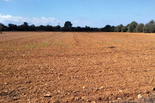 Finca rústica en una ubicación central entre Santanyi y Campos