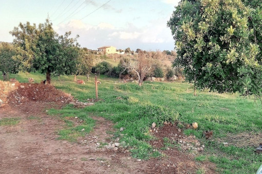 La finca está situada en una zona tranquila y rural