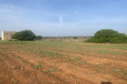 Solar cerca de Campos