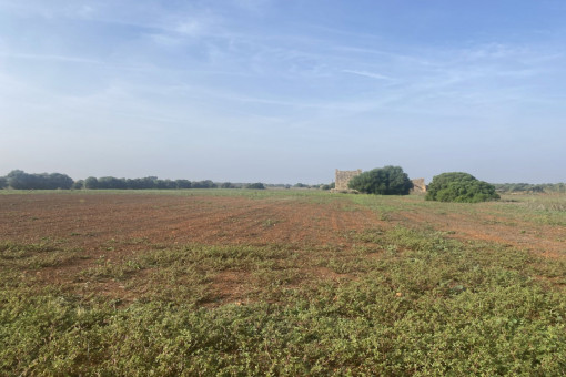 Parcela rural con permiso de construcción y maravillosas vistas cerca de Campos