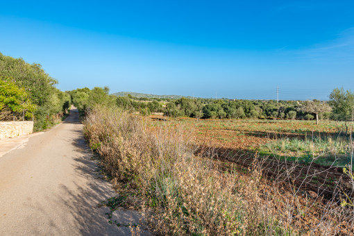 Camino al solar