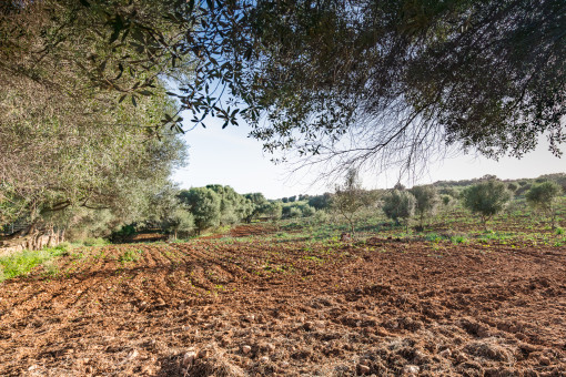 Proyecto casa de campo con piscina