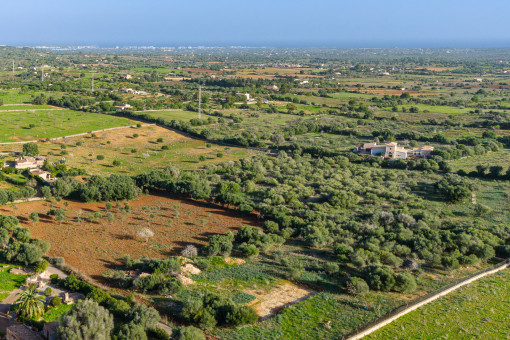 Parcela de ensueño con vistas al mar y proyecto de construcción ya aprobado para una finca con piscina en Sa Marineta