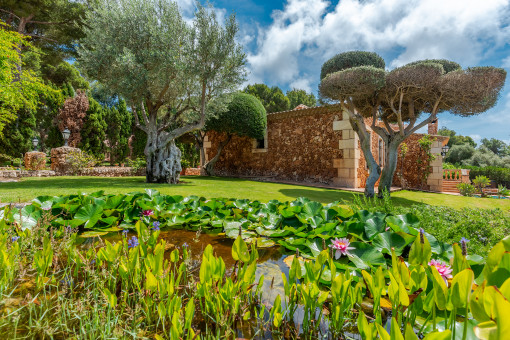 Jardín muy cuidado