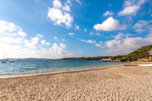 Playa en la cercanía