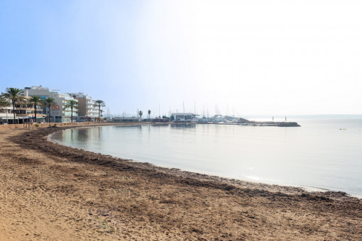 La playa se situa a pie del edificio