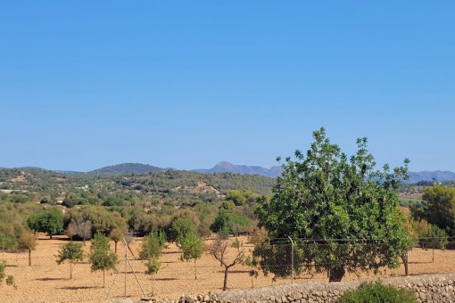 Vistas panoramicas