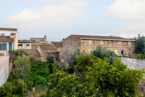 Jardín