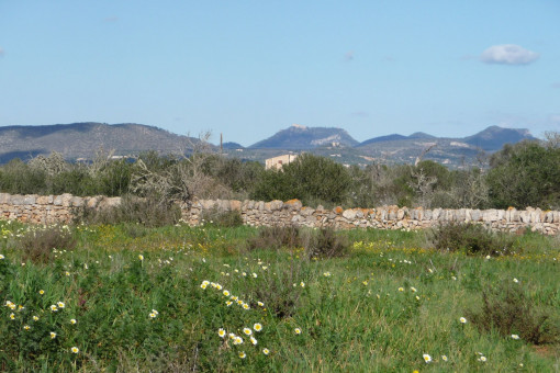 Solar en Cala Llombards